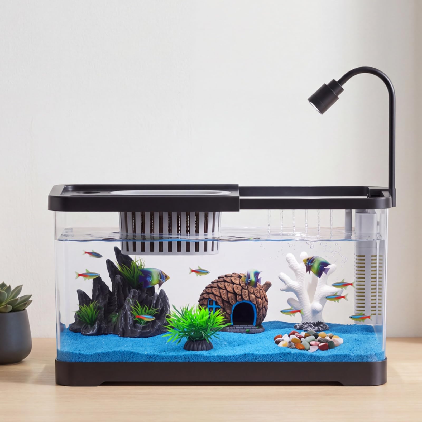 Zestaw startowy do akwarium z  – Aquarium Fish Betta recenzja i cena