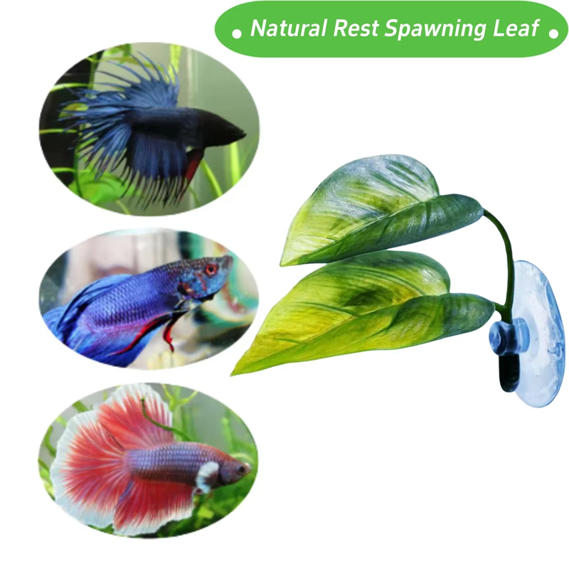 Akcesoria do akwariów, dekorac – Aquarium Fish Betta recenzja i cena