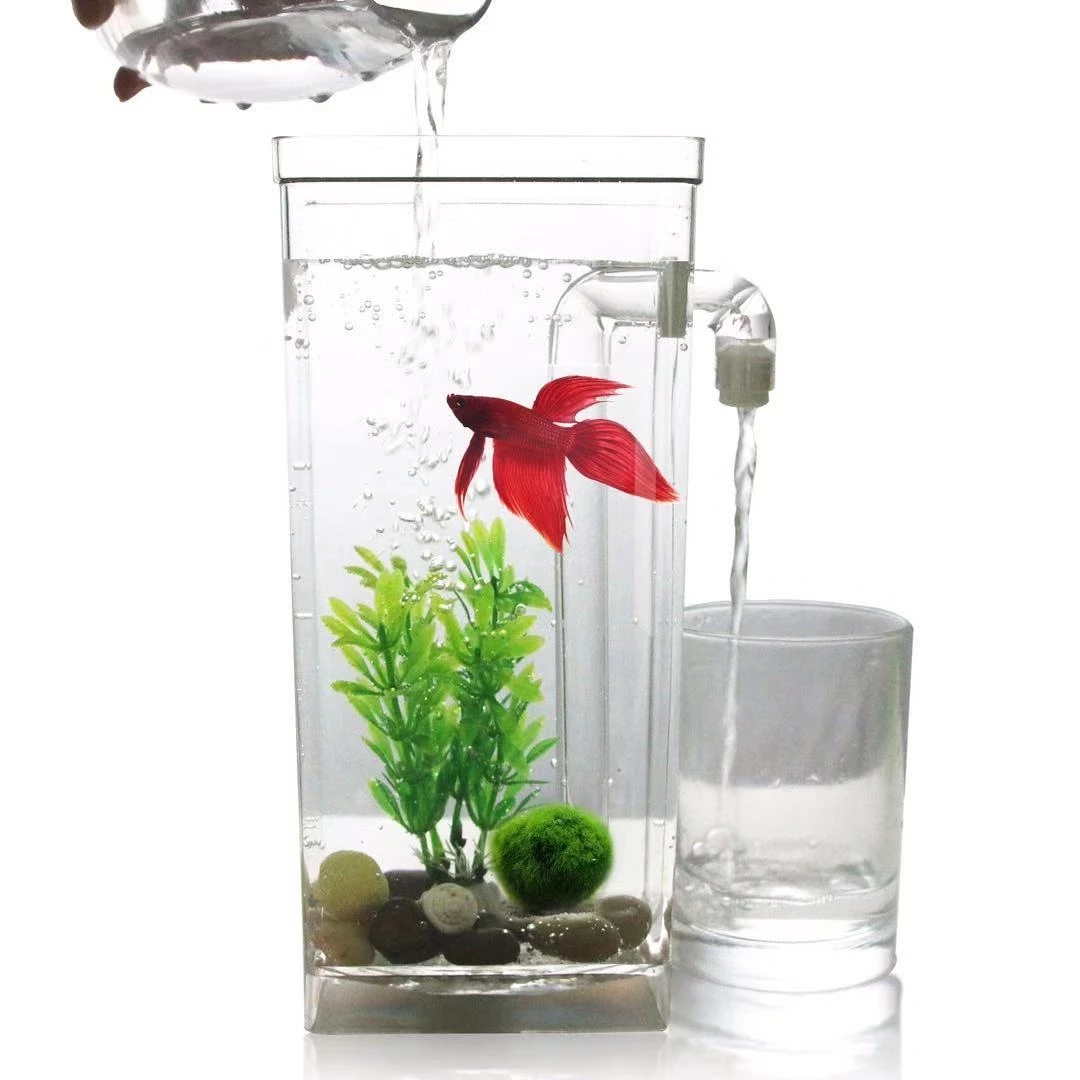 Leniwa bezpłatna wymiana wody  – Aquarium Fish Betta recenzja i cena