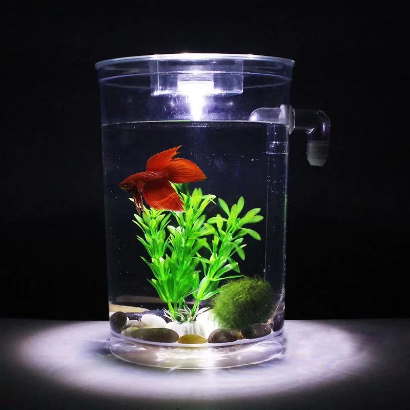 Leniwa bezpłatna wymiana wody  – Aquarium Fish Betta recenzja i cena