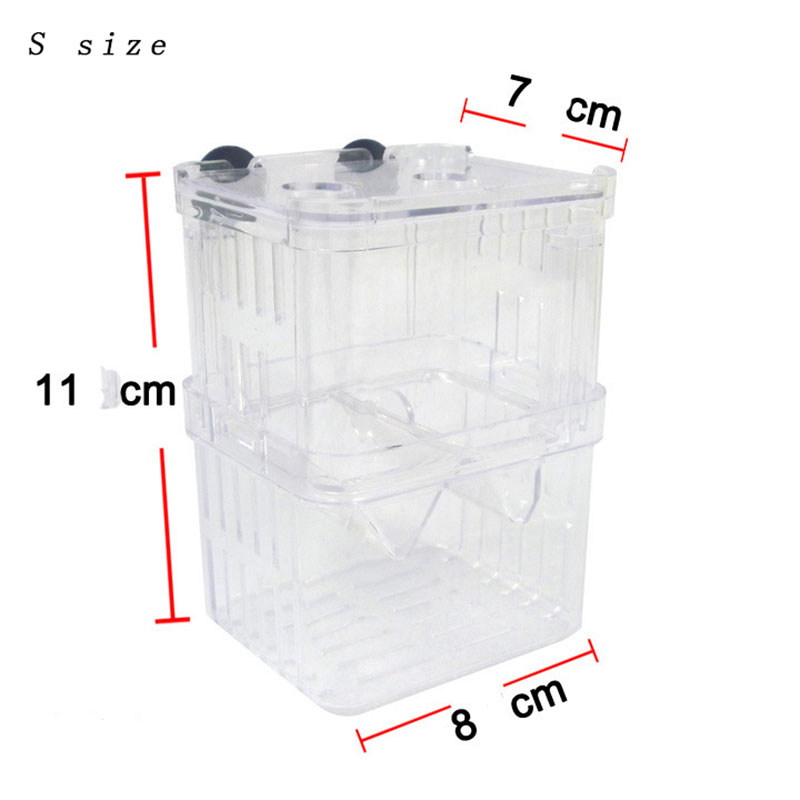 Pudełko izolacyjne do hodowli  – Aquarium Fish Betta recenzja i cena
